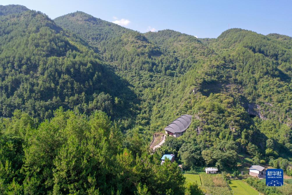 八零一八棋牌